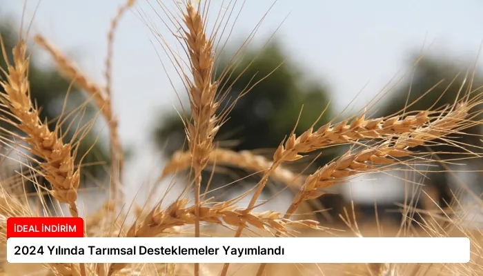 2024 Yılında Tarımsal Desteklemeler Yayımlandı