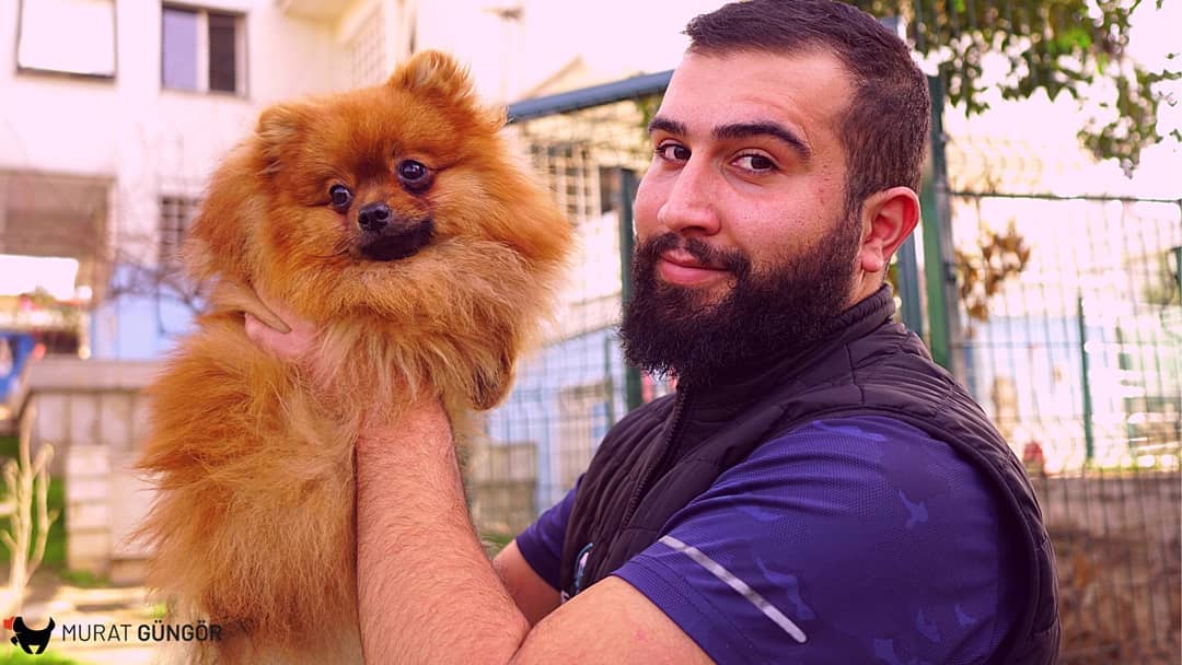 İstanbul’da Köpek Eğitimi İçin En İyi Adres: Murat Güngör ile Eğitimde Başarı