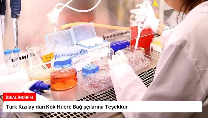 Türk Kızılay’dan Kök Hücre Bağışçılarına Teşekkür