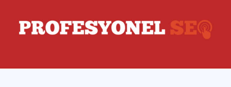 Profesyonel SEO Hizmeti Alın