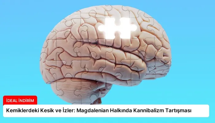 Kemiklerdeki Kesik ve İzler: Magdalenian Halkında Kannibalizm Tartışması