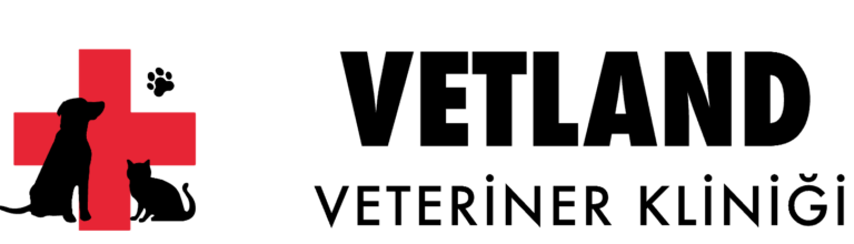 Gecenin Bir Yarısı Bile Yardımcı Oluruz: 7/24 Açık Veteriner