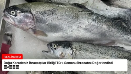 Doğu Karadeniz İhracatçılar Birliği Türk Somonu İhracatını Değerlendirdi ⏬👇