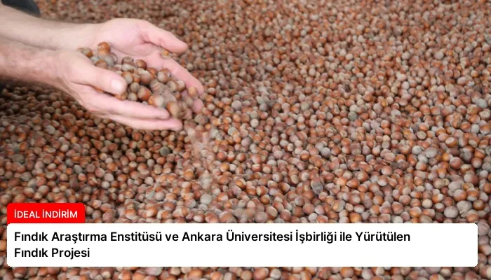 Fındık Araştırma Enstitüsü ve Ankara Üniversitesi İşbirliği ile Yürütülen Fındık Projesi