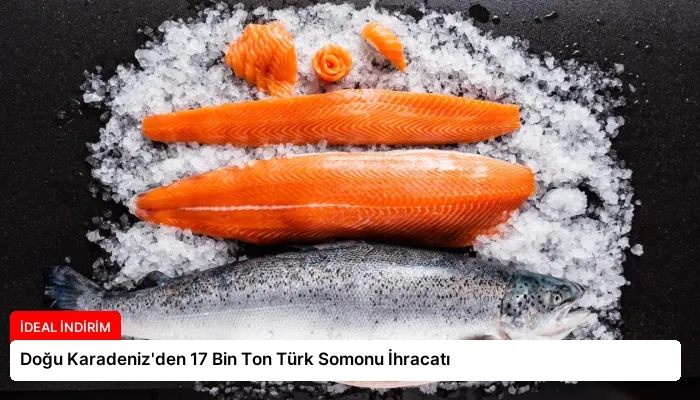 Doğu Karadeniz’den 17 Bin Ton Türk Somonu İhracatı