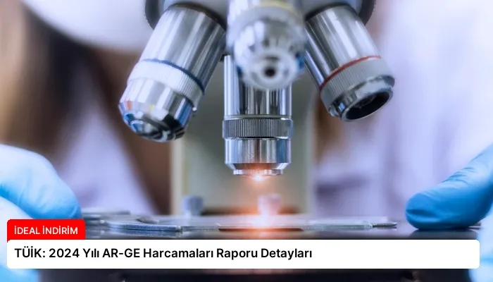 TÜİK: 2024 Yılı AR-GE Harcamaları Raporu Detayları