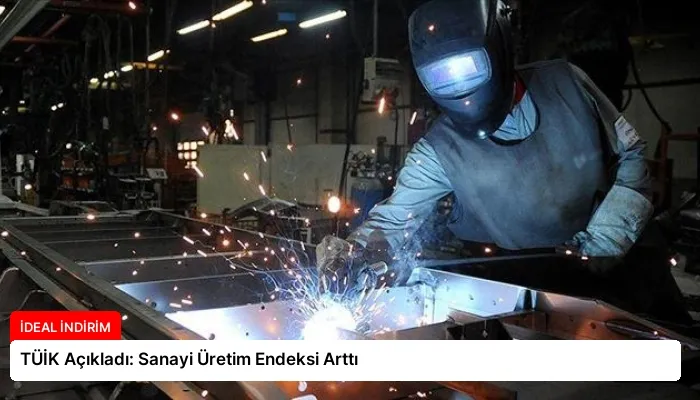 TÜİK Açıkladı: Sanayi Üretim Endeksi Arttı