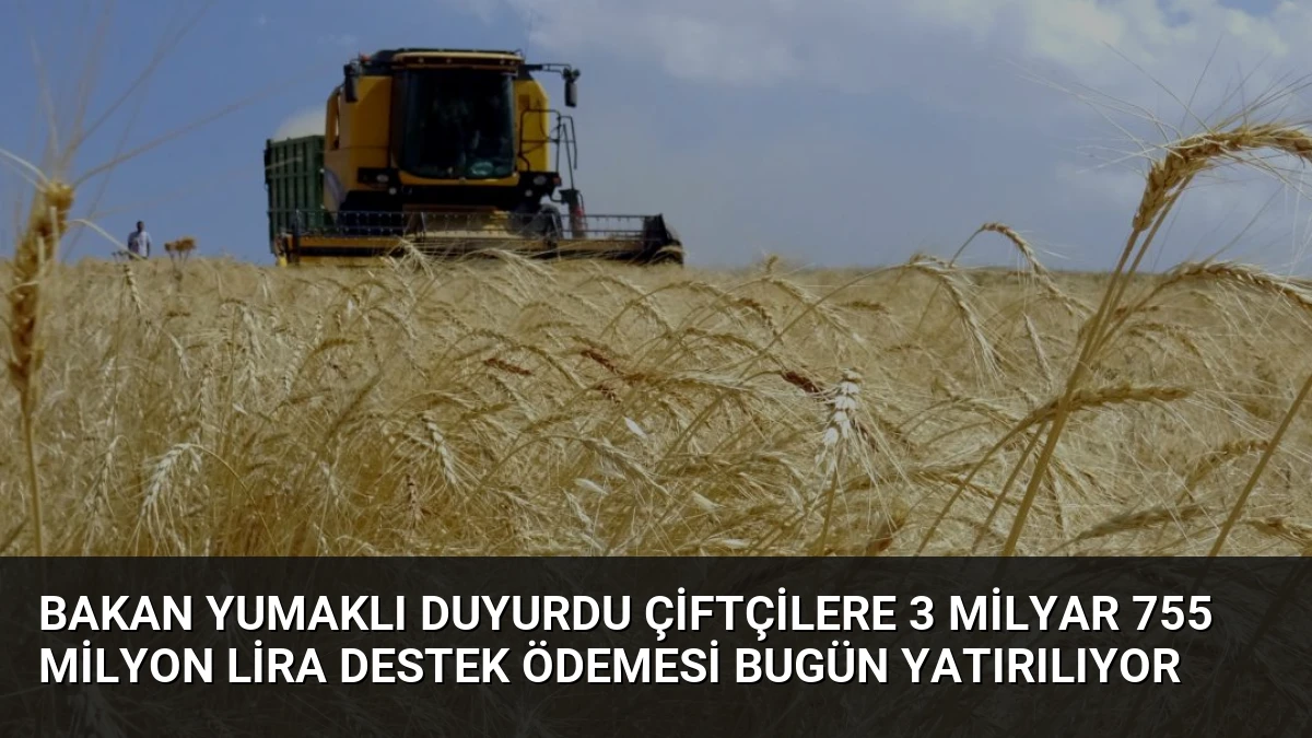 Bakan Yumaklı Duyurdu Çiftçilere 3 Milyar 755 Milyon Lira Destek Ödemesi Bugün Yatırılıyor