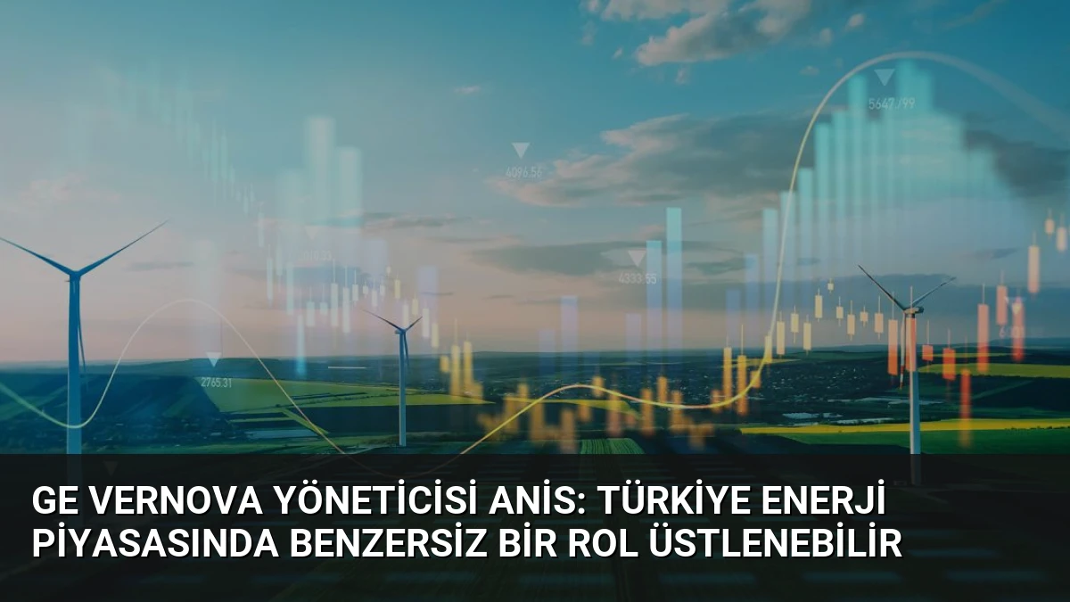 GE Vernova Yöneticisi Anis: Türkiye Enerji Piyasasında Benzersiz Bir Rol Üstlenebilir