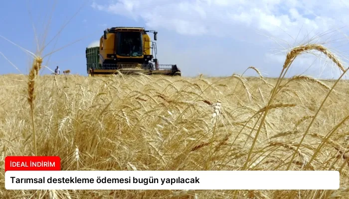 Tarımsal destekleme ödemesi bugün yapılacak