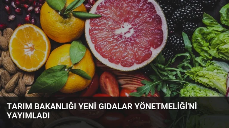 Tarım Bakanlığı Yeni Gıdalar Yönetmeliği’ni Yayımladı