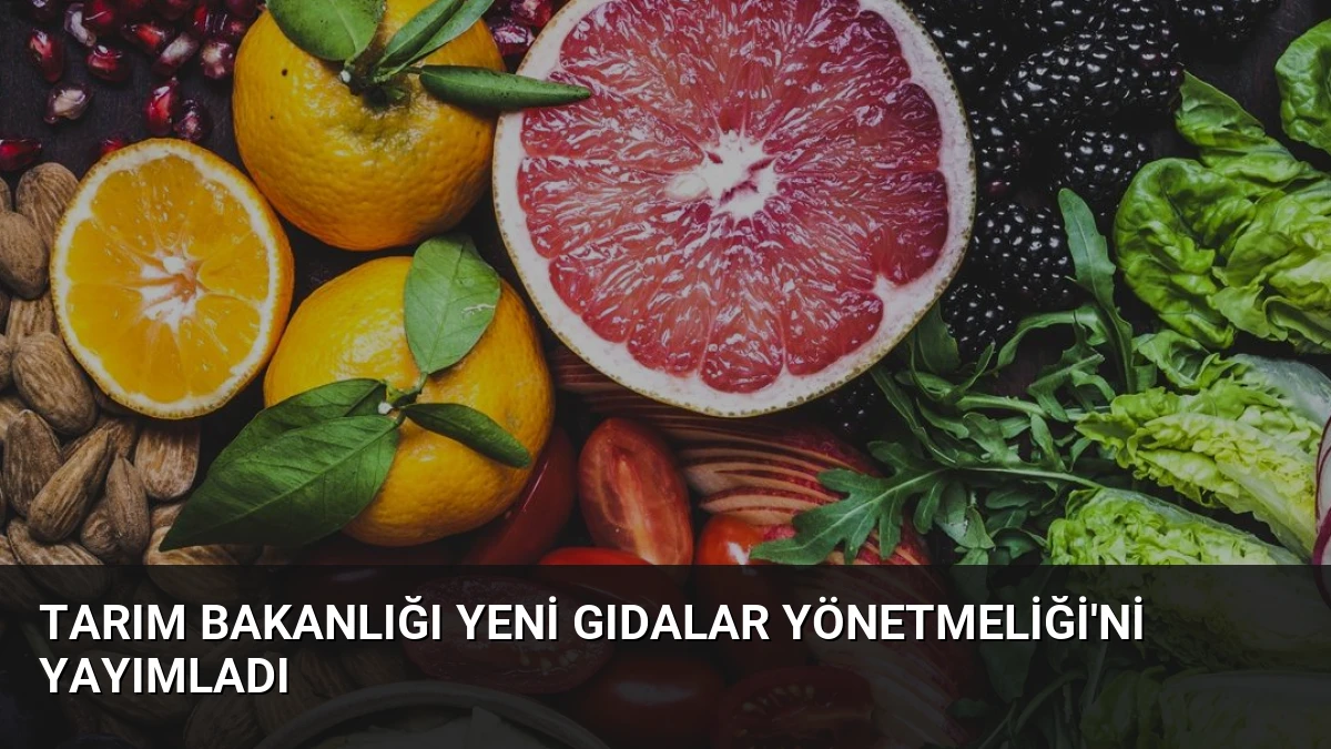 Tarım Bakanlığı Yeni Gıdalar Yönetmeliği’ni Yayımladı