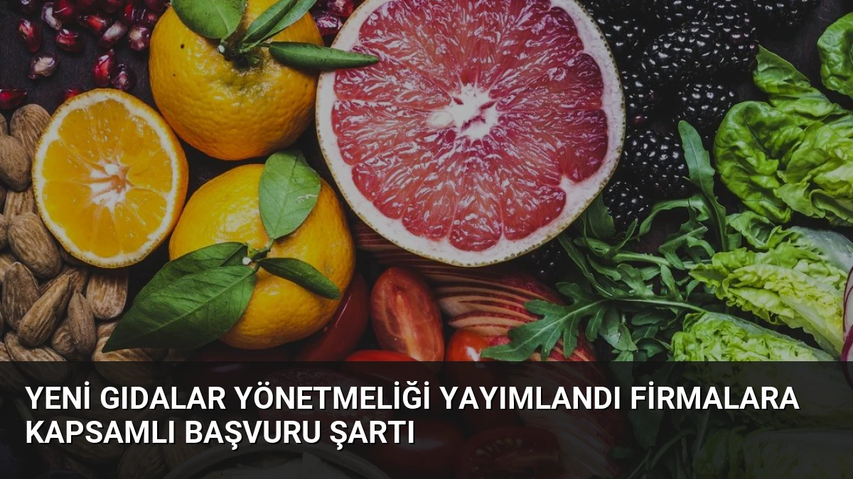 Yeni Gıdalar Yönetmeliği Yayımlandı Firmalara Kapsamlı Başvuru Şartı