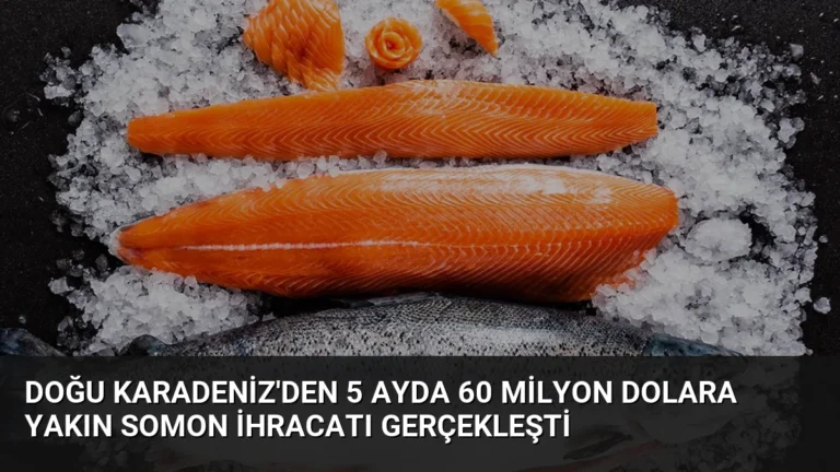 Doğu Karadeniz’den 5 Ayda 60 Milyon Dolara Yakın Somon İhracatı Gerçekleşti