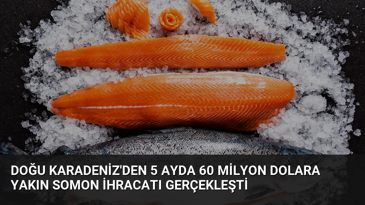 Doğu Karadeniz’den 5 Ayda 60 Milyon Dolara Yakın Somon İhracatı Gerçekleşti