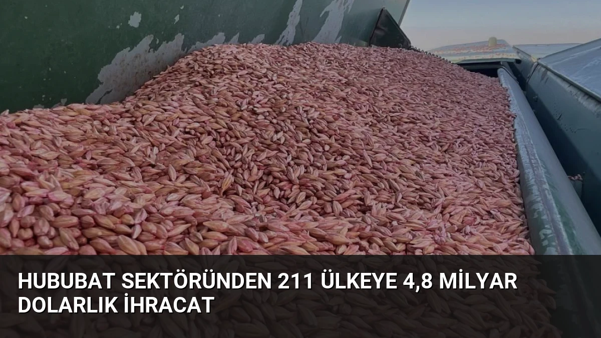 Hububat Sektöründen 211 Ülkeye 4,8 Milyar Dolarlık İhracat