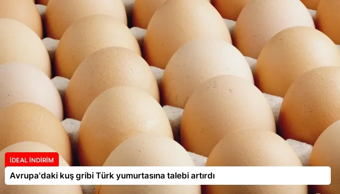 Avrupa’daki kuş gribi Türk yumurtasına talebi artırdı