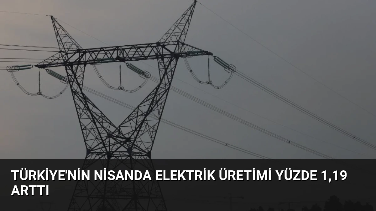 Türkiye’nin Nisanda Elektrik Üretimi Yüzde 1,19 Arttı
