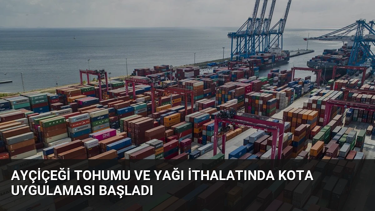 Ayçiçeği Tohumu ve Yağı İthalatında Kota Uygulaması Başladı
