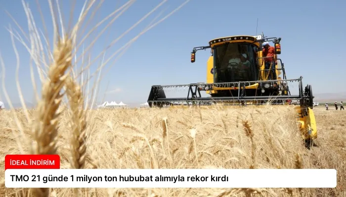 TMO 21 günde 1 milyon ton hububat alımıyla rekor kırdı