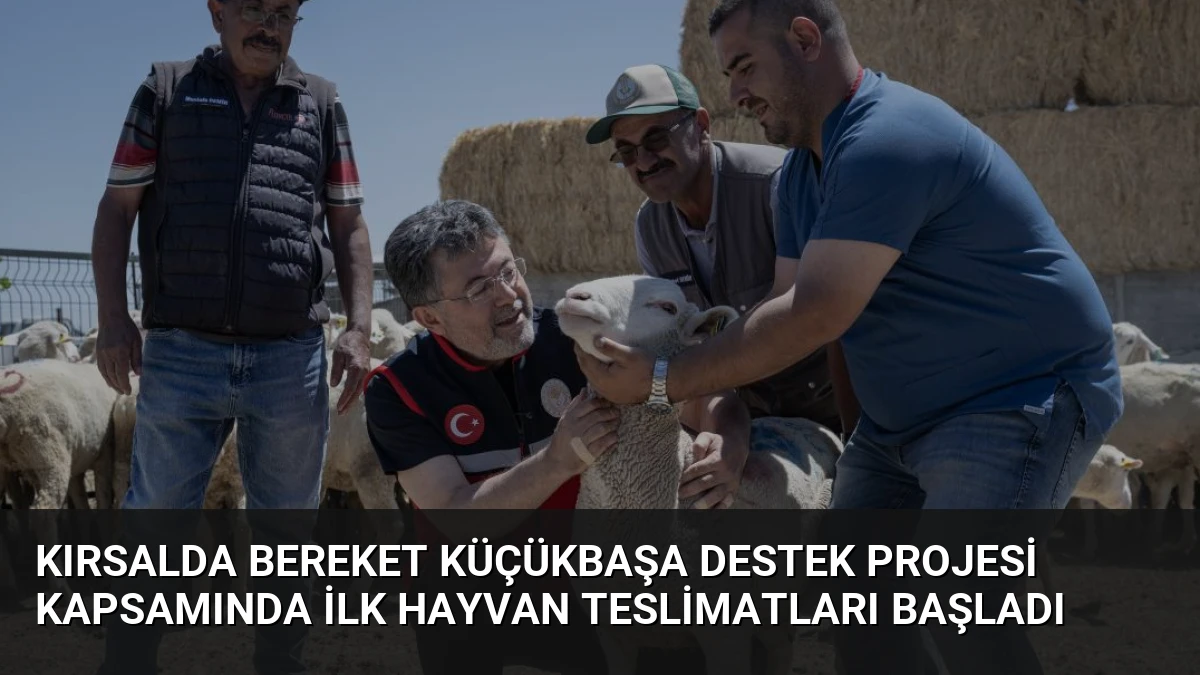 Kırsalda Bereket Küçükbaşa Destek Projesi Kapsamında İlk Hayvan Teslimatları Başladı