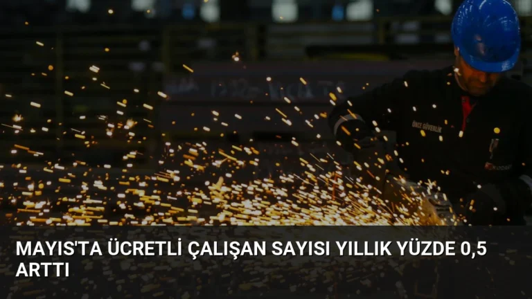 Mayıs’ta Ücretli Çalışan Sayısı Yıllık Yüzde 0,5 Arttı