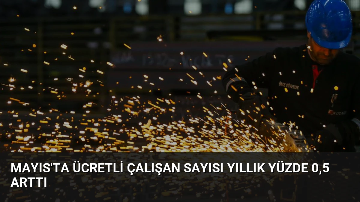 Mayıs’ta Ücretli Çalışan Sayısı Yıllık Yüzde 0,5 Arttı