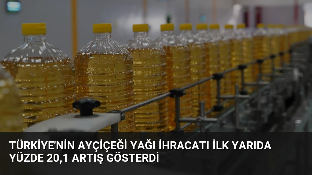 Türkiye’nin Ayçiçeği Yağı İhracatı İlk Yarıda Yüzde 20,1 Artış Gösterdi