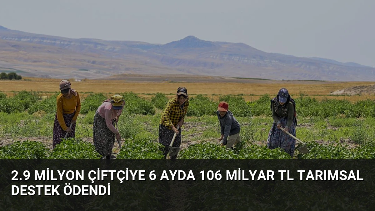 2.9 Milyon Çiftçiye 6 Ayda 106 Milyar TL Tarımsal Destek Ödendi