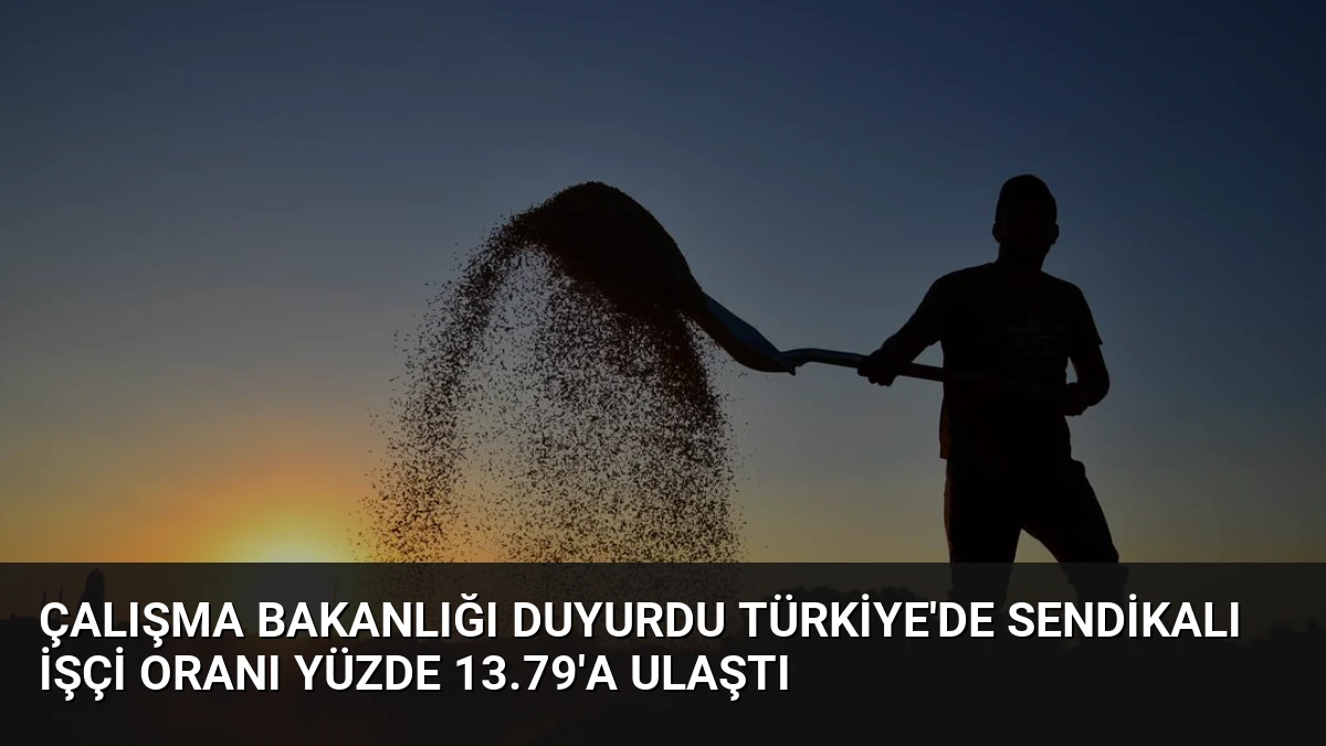 Çalışma Bakanlığı Duyurdu Türkiye’de Sendikalı İşçi Oranı Yüzde 13.79’a Ulaştı