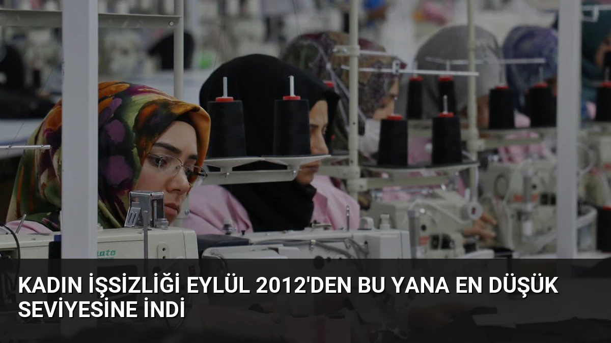 Kadın İşsizliği Eylül 2012’den Bu Yana En Düşük Seviyesine İndi