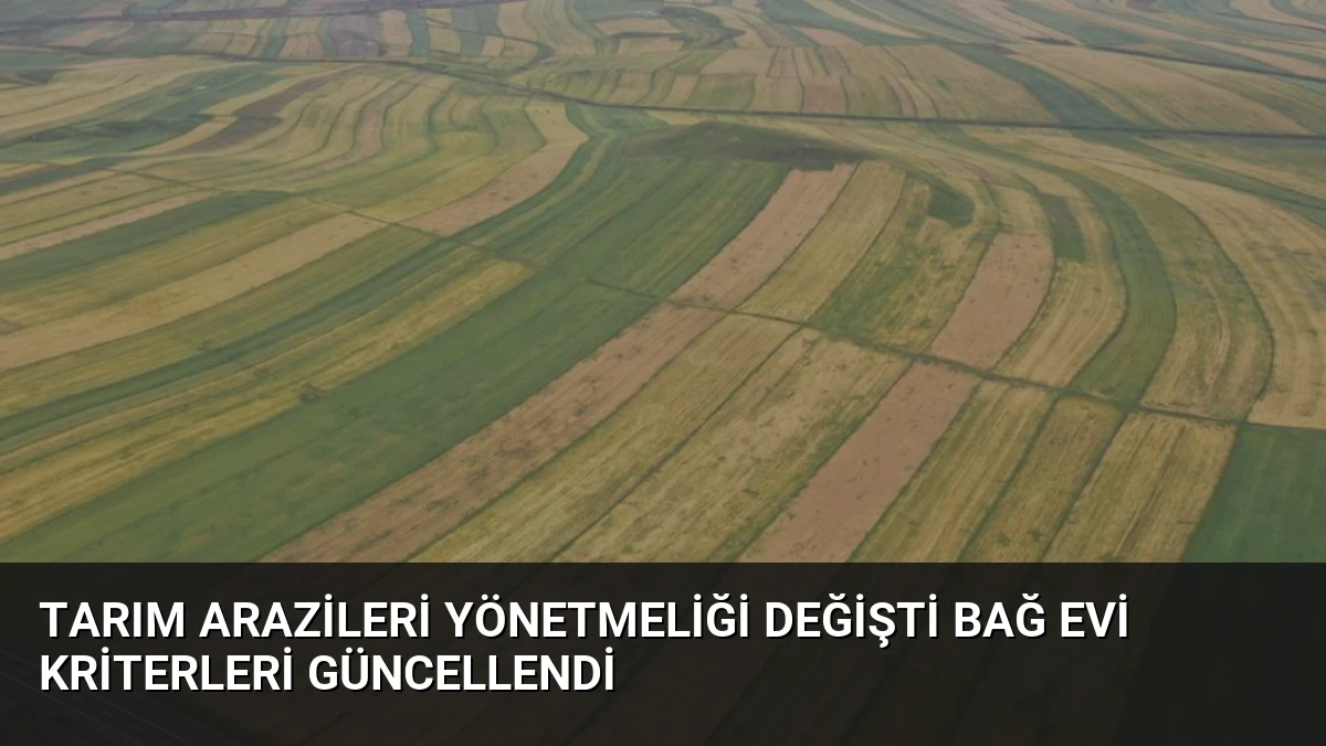 Tarım Arazileri Yönetmeliği Değişti Bağ Evi Kriterleri Güncellendi