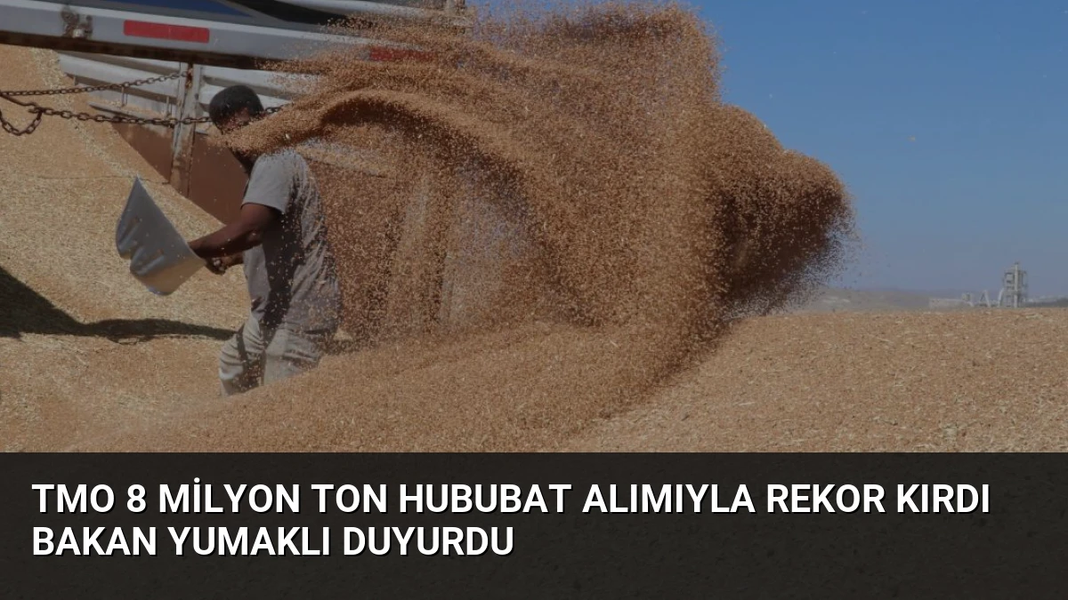 TMO 8 Milyon Ton Hububat Alımıyla Rekor Kırdı Bakan Yumaklı Duyurdu