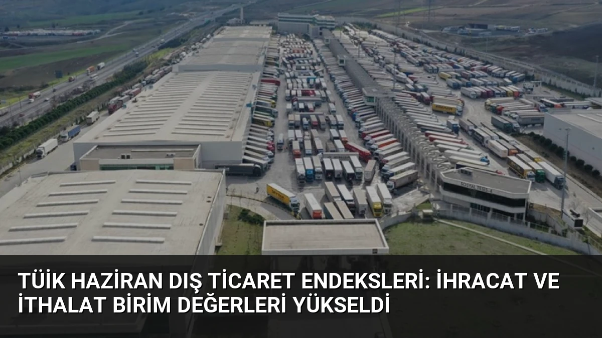 TÜİK Haziran Dış Ticaret Endeksleri: İhracat ve İthalat Birim Değerleri Yükseldi