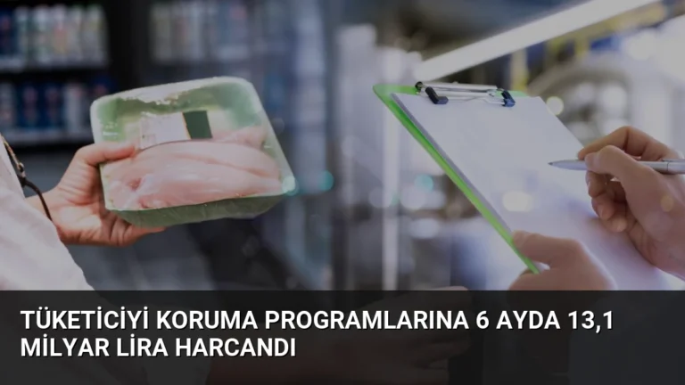 Tüketiciyi Koruma Programlarına 6 Ayda 13,1 Milyar Lira Harcandı