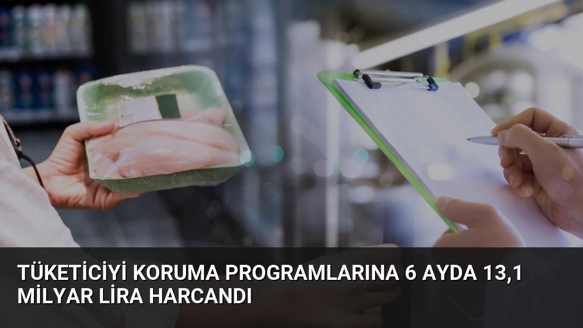 Tüketiciyi Koruma Programlarına 6 Ayda 13,1 Milyar Lira Harcandı