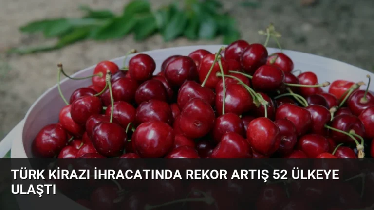 Türk Kirazı İhracatında Rekor Artış 52 Ülkeye Ulaştı
