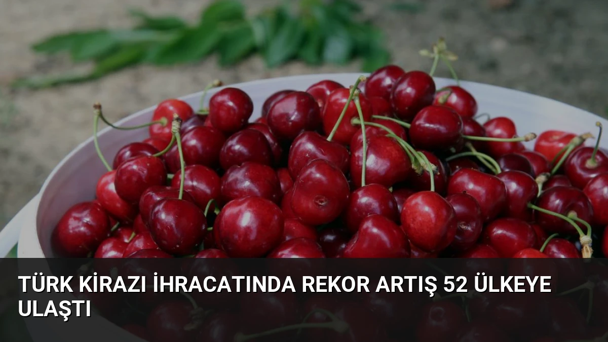 Türk Kirazı İhracatında Rekor Artış 52 Ülkeye Ulaştı