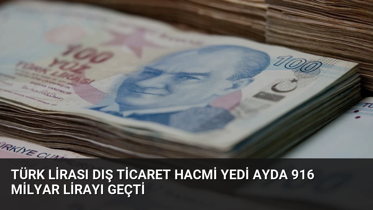 Türk Lirası Dış Ticaret Hacmi Yedi Ayda 916 Milyar Lirayı Geçti