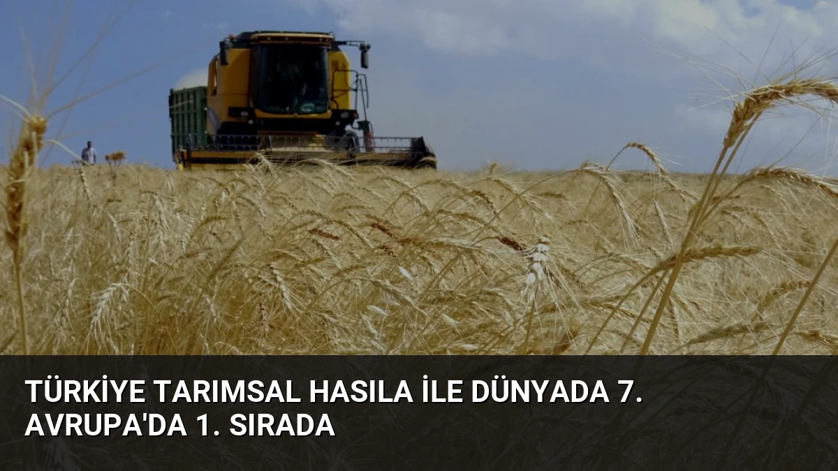 Türkiye Tarımsal Hasıla İle Dünyada 7. Avrupa’da 1. Sırada