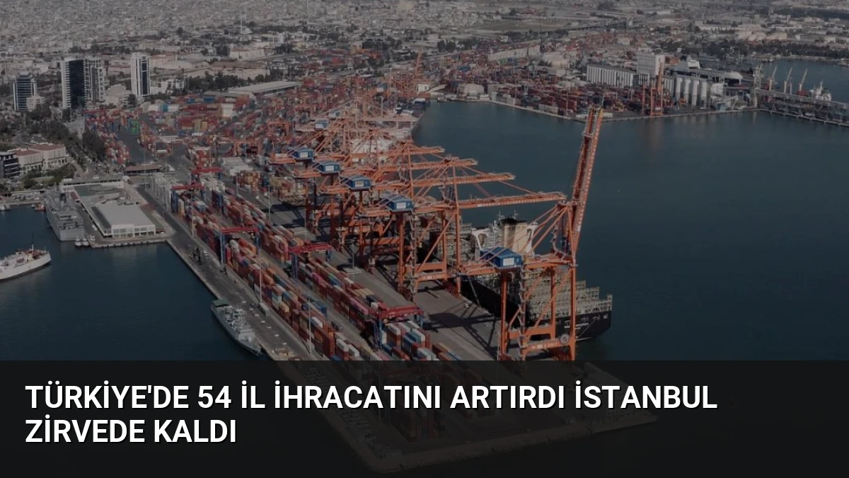 Türkiye’de 54 İl İhracatını Artırdı İstanbul Zirvede Kaldı