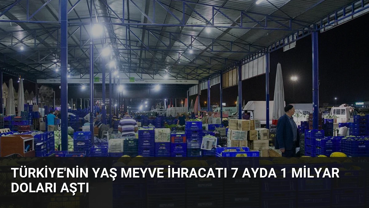 Türkiye’nin Yaş Meyve İhracatı 7 Ayda 1 Milyar Doları Aştı