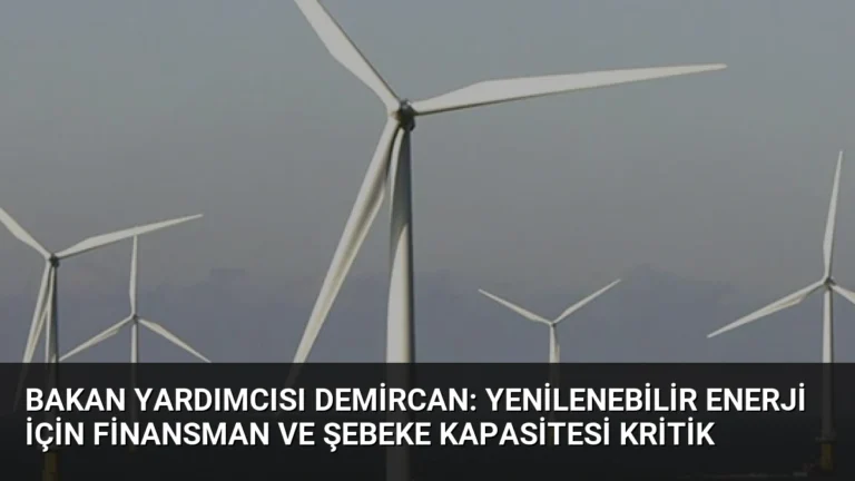 Bakan Yardımcısı Demircan: Yenilenebilir Enerji İçin Finansman ve Şebeke Kapasitesi Kritik