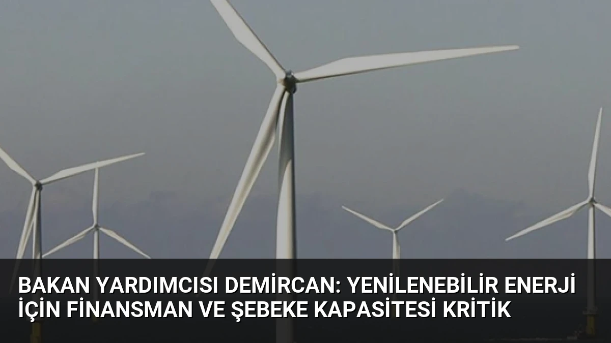 Bakan Yardımcısı Demircan: Yenilenebilir Enerji İçin Finansman ve Şebeke Kapasitesi Kritik