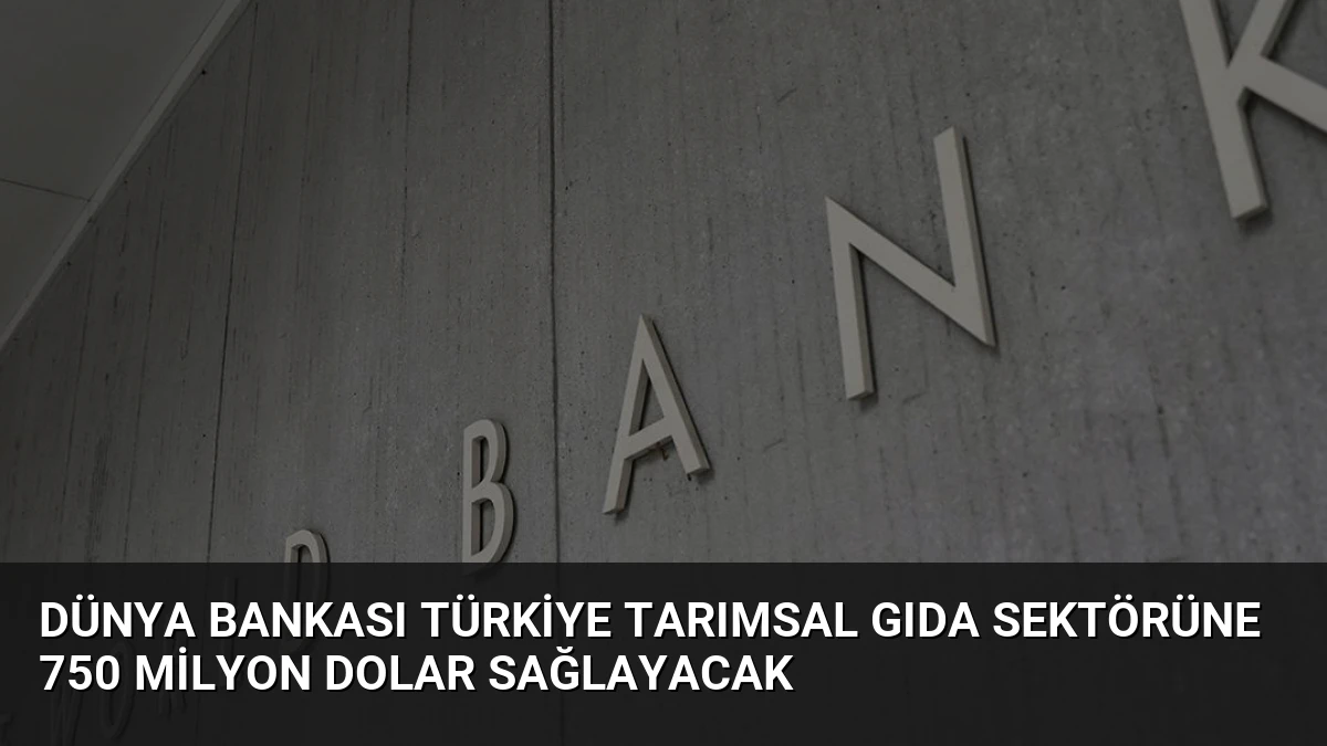 Dünya Bankası Türkiye Tarımsal Gıda Sektörüne 750 Milyon Dolar Sağlayacak