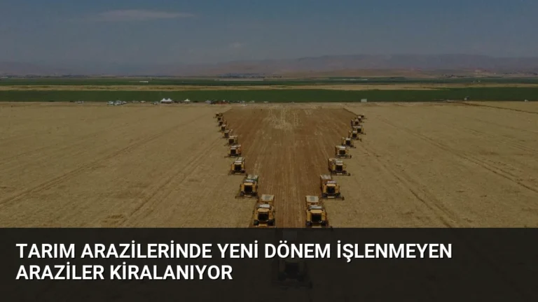 Tarım Arazilerinde Yeni Dönem İşlenmeyen Araziler Kiralanıyor