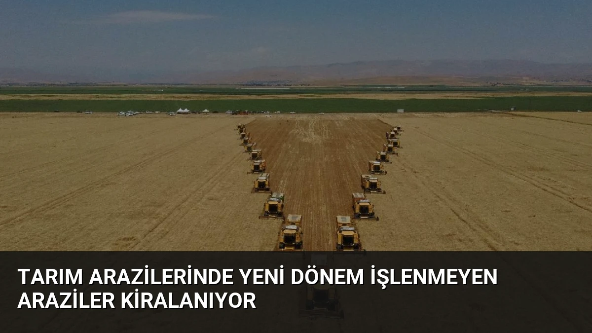 Tarım Arazilerinde Yeni Dönem İşlenmeyen Araziler Kiralanıyor