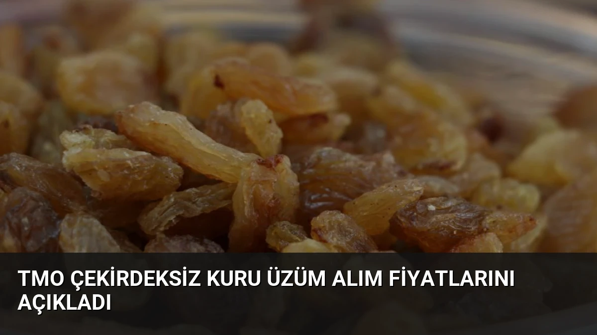 TMO Çekirdeksiz Kuru Üzüm Alım Fiyatlarını Açıkladı