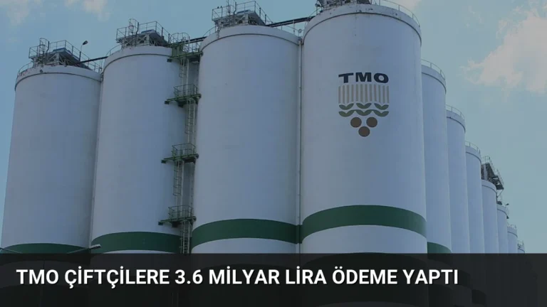 TMO Çiftçilere 3.6 Milyar Lira Ödeme Yaptı