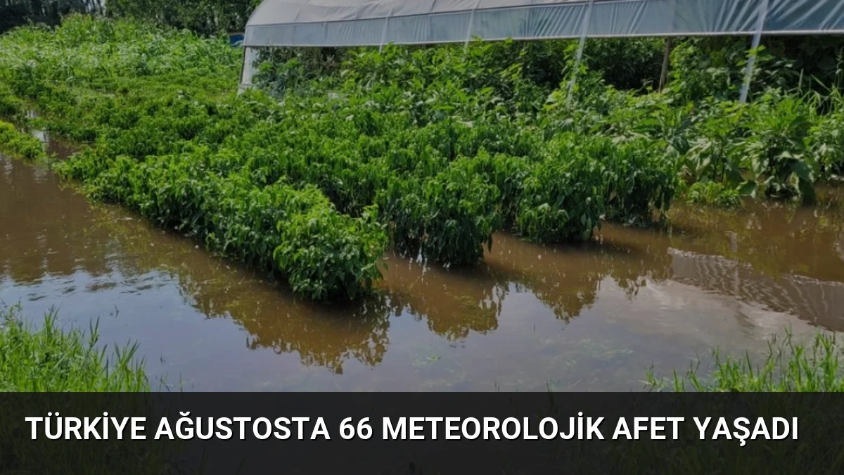 Türkiye Ağustosta 66 Meteorolojik Afet Yaşadı